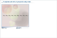 A sulphate salt with a hydrophobic alkyl chain