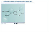 A sulphonate salt with a hydrophobic hydrocarbon chain