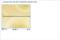 An ammonium salt with a hydrophobic aliphatic chain