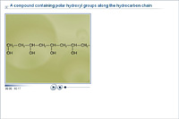 A compound containing polar hydroxyl groups along the hydrocarbon chain