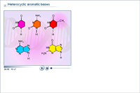 Heterocyclic aromatic bases