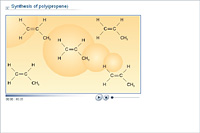 Synthesis of poly(propene)