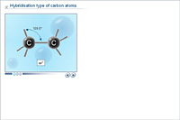 Hybridisation type of carbon atoms