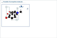 A model of a morphine molecule