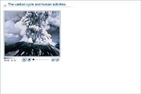 The carbon cycle and human activities