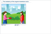 The constancy of the angular momentum vector