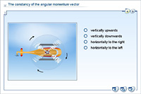 The constancy of the angular momentum vector