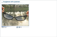 Sunglasses with a polariser