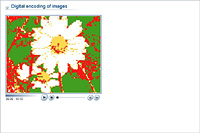 Digital encoding of images