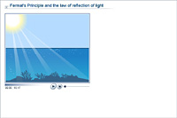 Fermat's Principle and the law of reflection of light