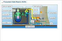 Pressurized Water Reactor (PWR)