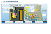 Fast Breeder Reactor (FBR)