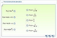 The function and its derivative
