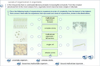 Levels of organization in organisms