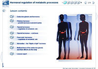 Hormonal regulation of metabolic processes