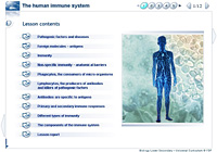 The human immune system