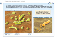 Characteristics of pathogenic bacteria