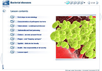 Bacterial diseases