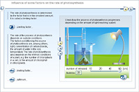 Influence of some factors on the rate of photosynthesis
