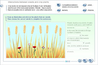 Interactions between weeds and crop plants