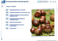 Seed germination and plant growth