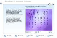 Abnormalities in the number of sex chromosomes