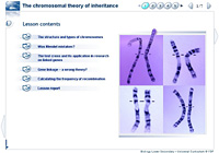 The chromosomal theory of inheritance