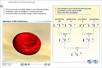 Inheritance of blood groups
