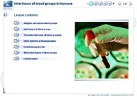 Inheritance of blood groups in humans