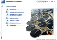Industrial uses of bacteria