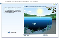 Differences between terrestrial and aquatic environments