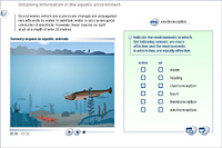 Obtaining information in the aquatic environment