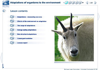 Adaptations of organisms to the environment