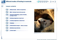 Different modes of feeding in mammals