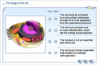 The design of the cell