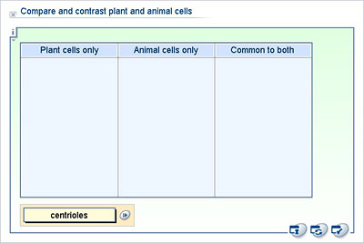 Biology - Lower Secondary - YDP - Whiteboard exercise - Compare and contrast  plant and animal cells