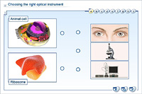 Choosing the right optical instrument