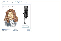 The discovery of the light microscope