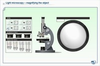 Light microscopy – magnifying the object