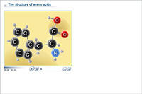 The structure of amino acids