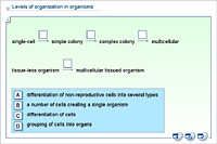 Levels of organization in organisms