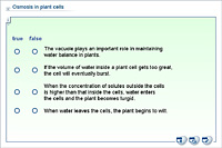 Osmosis in plant cells