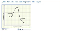 How the reaction proceeds in the presence of the enzyme