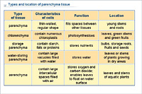 Types and location of parenchyma tissue