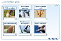 Animal and plant species
