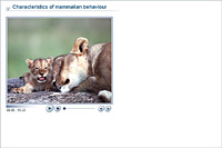 Characteristics of mammalian behaviour