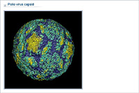 Polio virus capsid