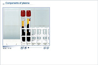 Components of plasma