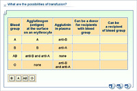What are the possibilities of transfusion?