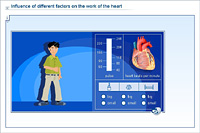 Influence of different factors on the work of the heart